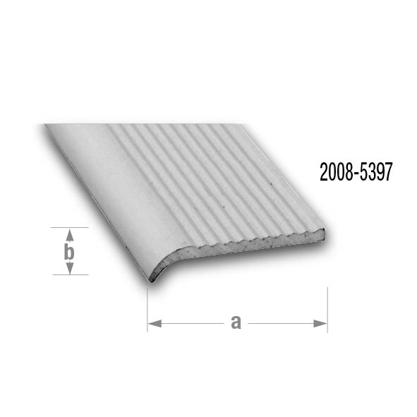 CQFD Anodised Aluminium Step Edging 25mm x 5mm - 2m