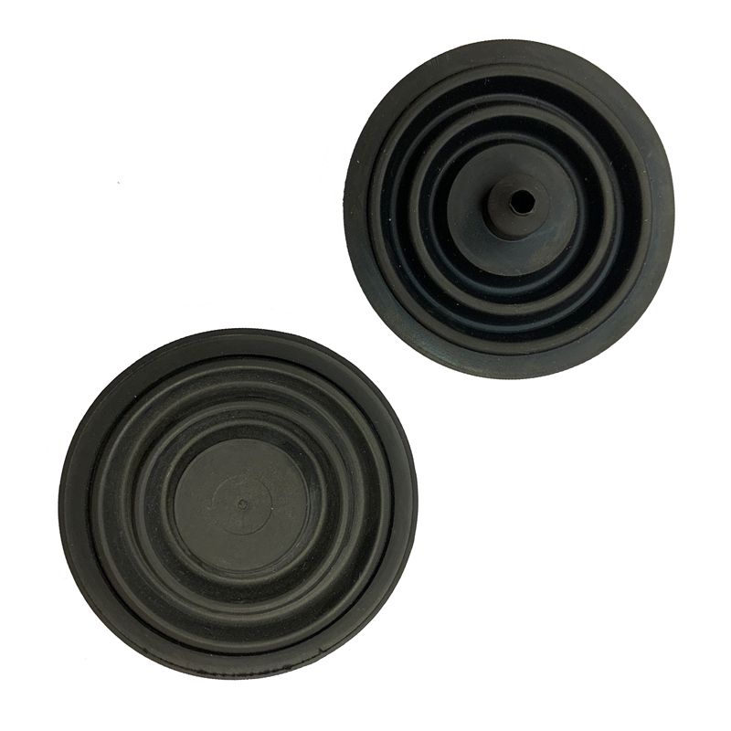 Dudley Pinto Flushvalve Seal Washer