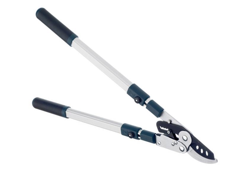 Bulldog BD3113TW Evergreen Extending Bypass Loppers BULBD3113TW