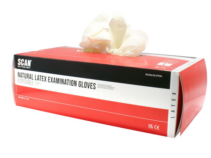 Scan Latex Gloves - Large (Box 100) SCAGLOLATEXL