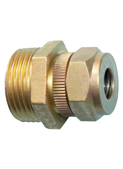 Brass Spring Safety Valve 3/4in BSP
